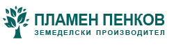www.plamenpenkov.com